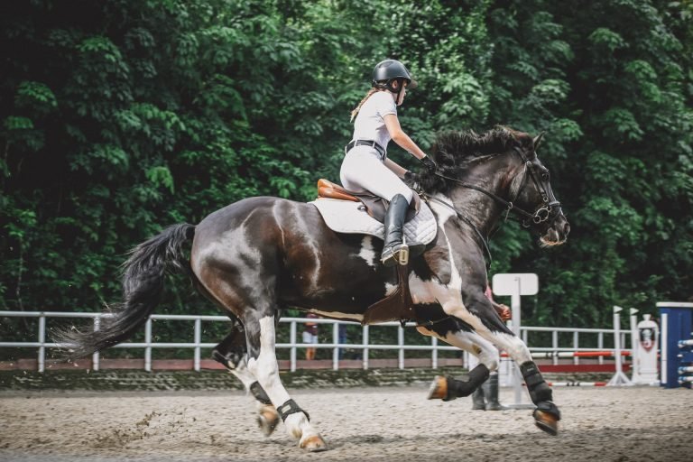 Sklep jeździecki – zakupy na dobry początek